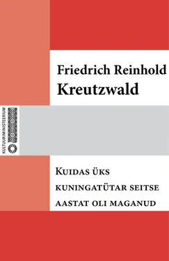 Friedrich Reinhold Kreutzwald Kuidas üks kuningatütar seitse aastat oli maganud обложка книги