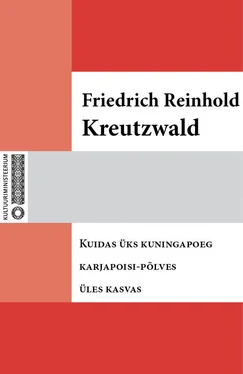 Friedrich Reinhold Kreutzwald Kuidas üks kuningapoeg karjapoisi-põlves üles kasvas обложка книги