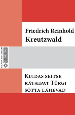 Friedrich Reinhold Kreutzwald Kuidas seitse rätsepat Türgi sõtta lähevad обложка книги