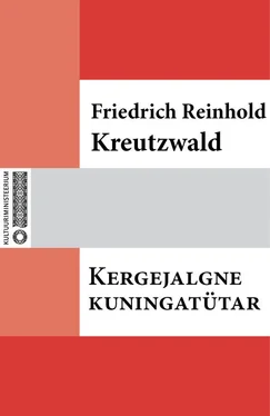 Friedrich Reinhold Kreutzwald Kergejalgne kuningatütar обложка книги