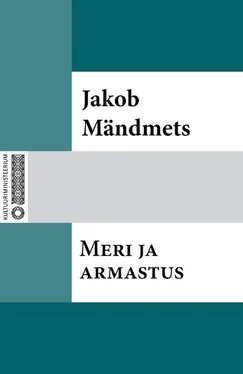 Jakob Mändmets Meri ja armastus обложка книги