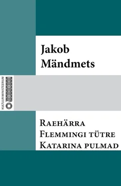 Jakob Mändmets Raehärra Flemmingi tütre Katarina pulmad обложка книги