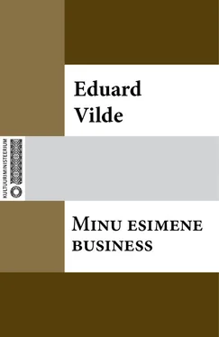 Eduard Vilde Minu esimene business обложка книги