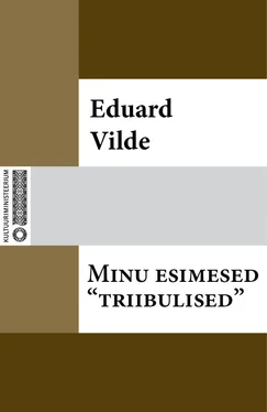 Eduard Vilde Minu esimesed «triibulised» обложка книги