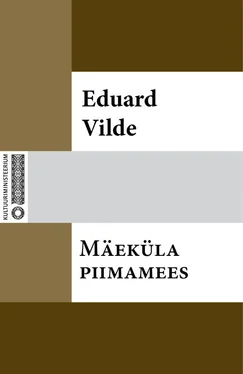 Eduard Vilde Mäeküla piimamees обложка книги