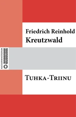 Friedrich Reinhold Kreutzwald Tuhka-Triinu обложка книги