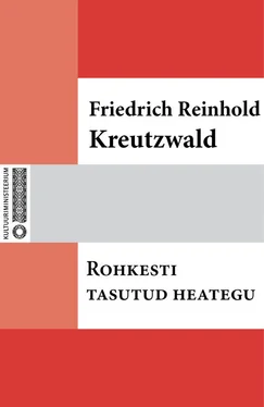 Friedrich Reinhold Kreutzwald Rohkesti tasutud heategu обложка книги