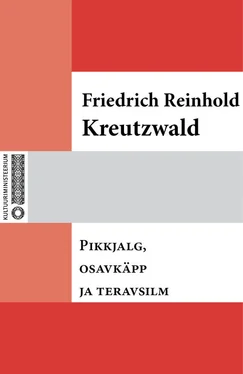 Friedrich Reinhold Kreutzwald Pikkjalg, osavkäpp ja teravsilm обложка книги