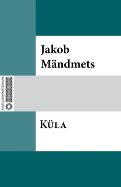 Jakob Mändmets Küla обложка книги