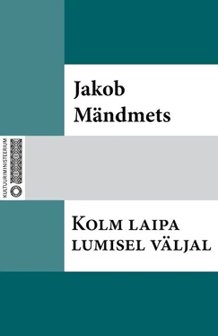 Jakob Mändmets Kolm laipa lumisel väljal обложка книги