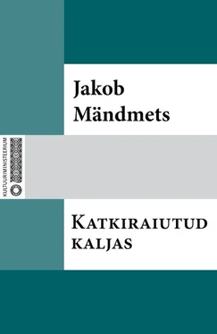 Jakob Mändmets Katkiraiutud kaljas обложка книги