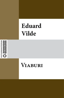 Eduard Vilde Viaburi обложка книги