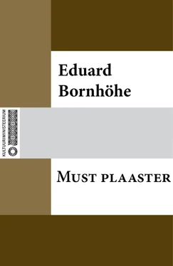 Eduard Bornhöhe Must plaaster обложка книги