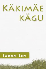 Juhan Liiv - Käkimäe kägu