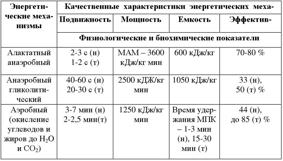 Аэробные способности позволяют длительное время выполнять работу вплоть до того - фото 2