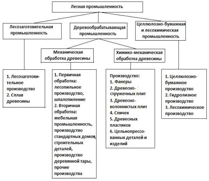 Рис 11 Схема группировки отраслей и производств лесозаготовительной - фото 3