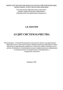 Алексей Пыхтин Аудит систем качества обложка книги