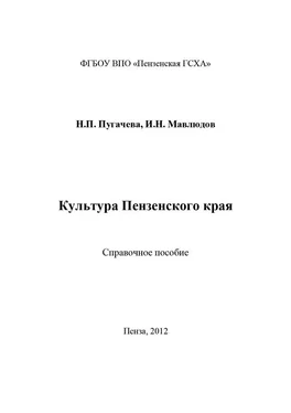 Ильдар Мавлюдов Культура Пензенского края обложка книги