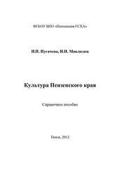 Ильдар Мавлюдов - Культура Пензенского края
