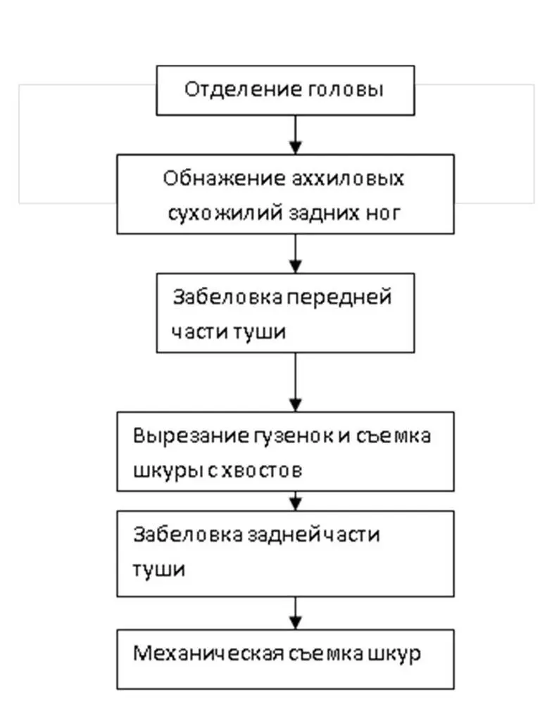 Схема 33 Последовательность выполнения операций при съемке шкур с туш мелкого - фото 8