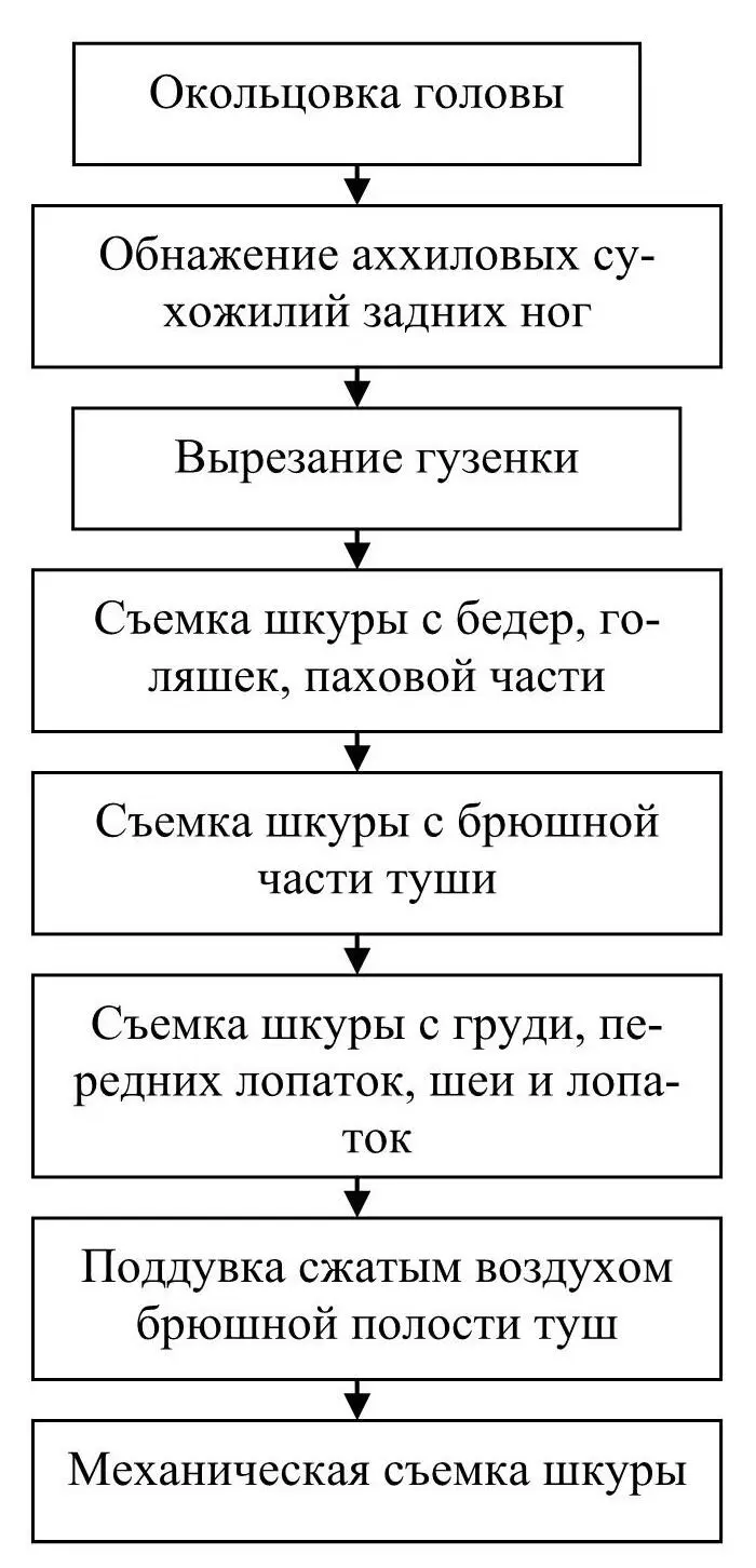 Схема 34 Последовательность выполнения операций при съемке шкур со свиных туш - фото 9