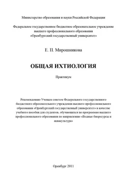 Елена Мирошникова Общая ихтиология обложка книги