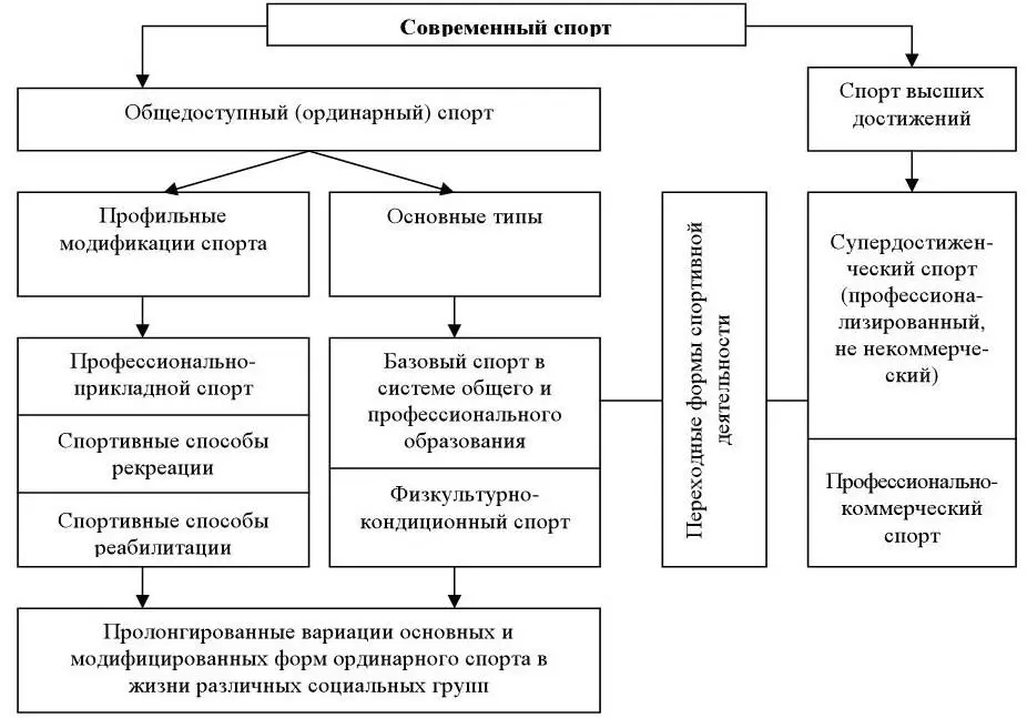 Рис 6 Принципиальная схема социальной практики спорта Представляется что - фото 9