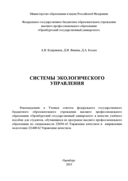 Дмитрий Косых Системы экологического управления обложка книги