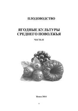 Ольга Касынкина Плодоводство. Ягодные культуры Среднего Поволжья. Часть II обложка книги