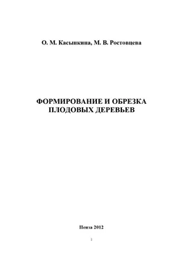 Ольга Касынкина Формирование и обрезка плодовых деревьев обложка книги