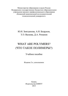 Артем Безруков What are Polymers? (Что такое полимеры?) обложка книги