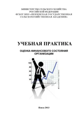 Наталья Зарук Учебная практика. Оценка финансового состояния организации обложка книги