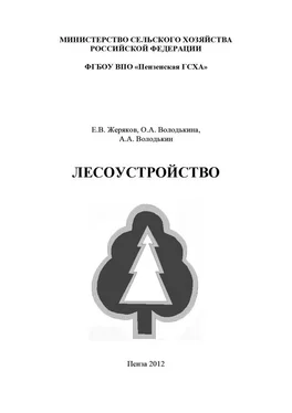 Алексей Володькин Лесоустройство обложка книги