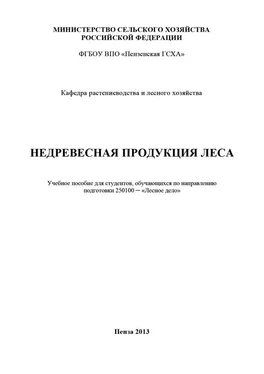 Наталья Остробородова Недревесная продукция леса обложка книги