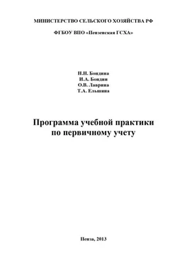 Ольга Лаврина Программа учебной практики по первичному учету обложка книги