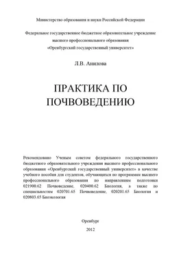 Людмила Анилова Практика по почвоведению обложка книги