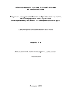 Александр Агафонов Биомеханический анализ техники ударов в кикбоксинге обложка книги