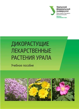 Коллектив авторов Дикорастущие лекарственные растения Урала обложка книги