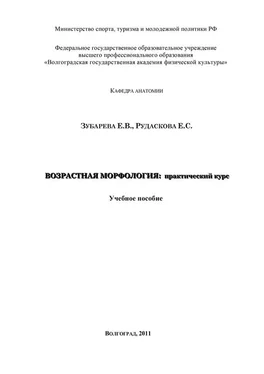 Елена Зубарева Возрастная морфология: практический курс обложка книги