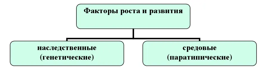 1 Наследственные генетические носят обязательный характер без их - фото 3