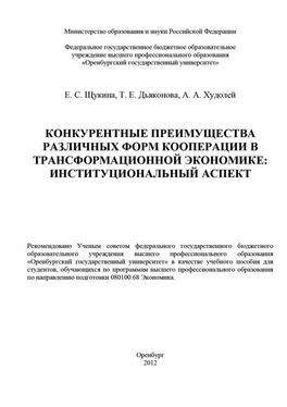 А. Худолей Конкурентные преимущества различных форм кооперации в трансформационной экономике: институциональный аспект обложка книги