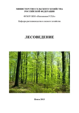 Array Коллектив авторов Лесоведение обложка книги