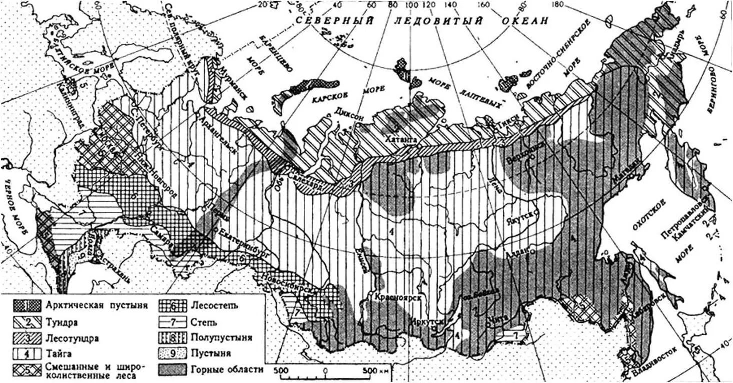 Рисунок 1 Природные зоны Российской Федерации Солнце стоит невысоко над - фото 1