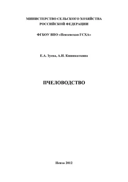 Елена Зуева Пчеловодство обложка книги