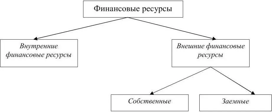 Рисунок 3 Финансовые ресурсы предприятия В свою очередь внутренние в реальной - фото 3