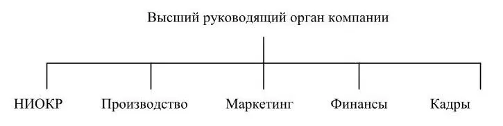 Рисунок 6 Функциональная организационная структура управления компанией В - фото 8