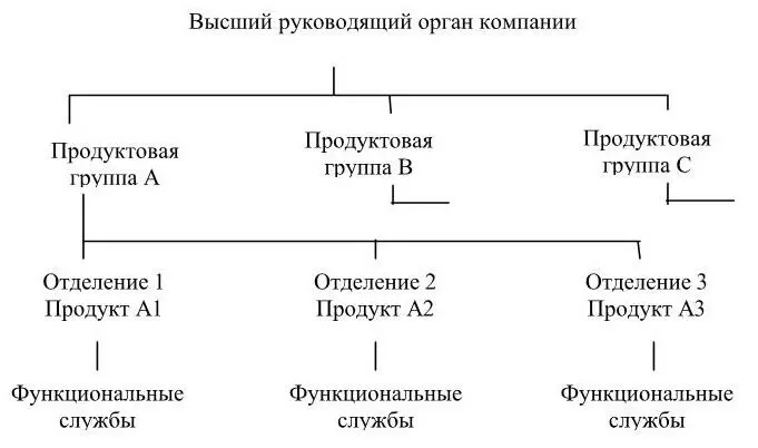 Рисунок 8 Дивизиональная продуктовая структура управления Высокой степенью - фото 10