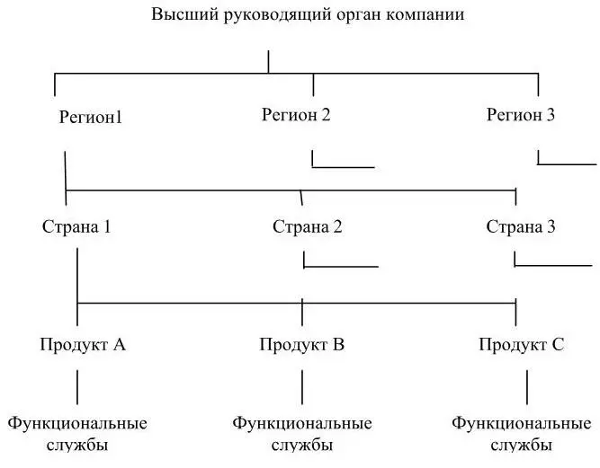 Рисунок 9 Дивизиональная структура управления по регионам Организационное - фото 11