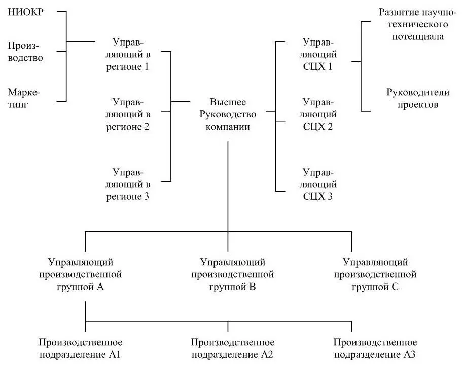 Рисунок 11 Матричная структура управления в современных международных - фото 13