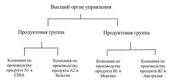 Рисунок 15 Встраивание международных операций в продуктовые группы Рисунок - фото 17